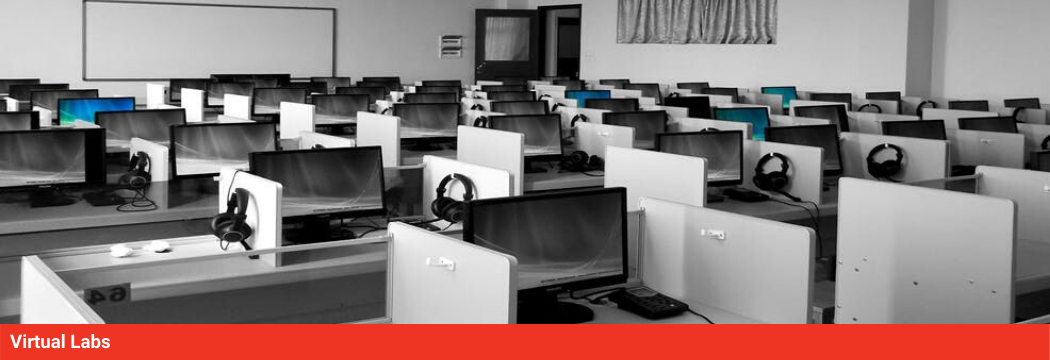 Virtual Labs